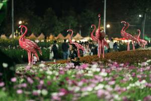 BIB: 
                            <button type="button" onclick="openModal(27337308)" class="btn btn-primary btn-sm float-right btn-popup" data-toggle="modal" data-target=".modal-high-quality">
                        <i class="fas fa-shopping-cart"></i> Add to Cart
                    </button>
                                            <button type="button" onclick="isThisMe(27337308, true)" class="btn btn-success btn-sm float-right btn-popup btn-isme hidden" data-toggle="tooltip" data-placement="bottom" title="นี่คือรูปของคุณใช่ไหม คลิกที่นี่เพื่อเอาเข้าอัลบั้ม">
                        <i class="fas fa-plus"></i> Add to album
                    </button>
                    <button type="button" onclick="isThisMe(27337308, false)" class="btn btn-warning btn-sm float-right btn-popup btn-isnotme hidden">
                        <i class="fas fa-ban"></i> Remove from album
                    </button>